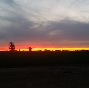 Meet your Posher, Hmong